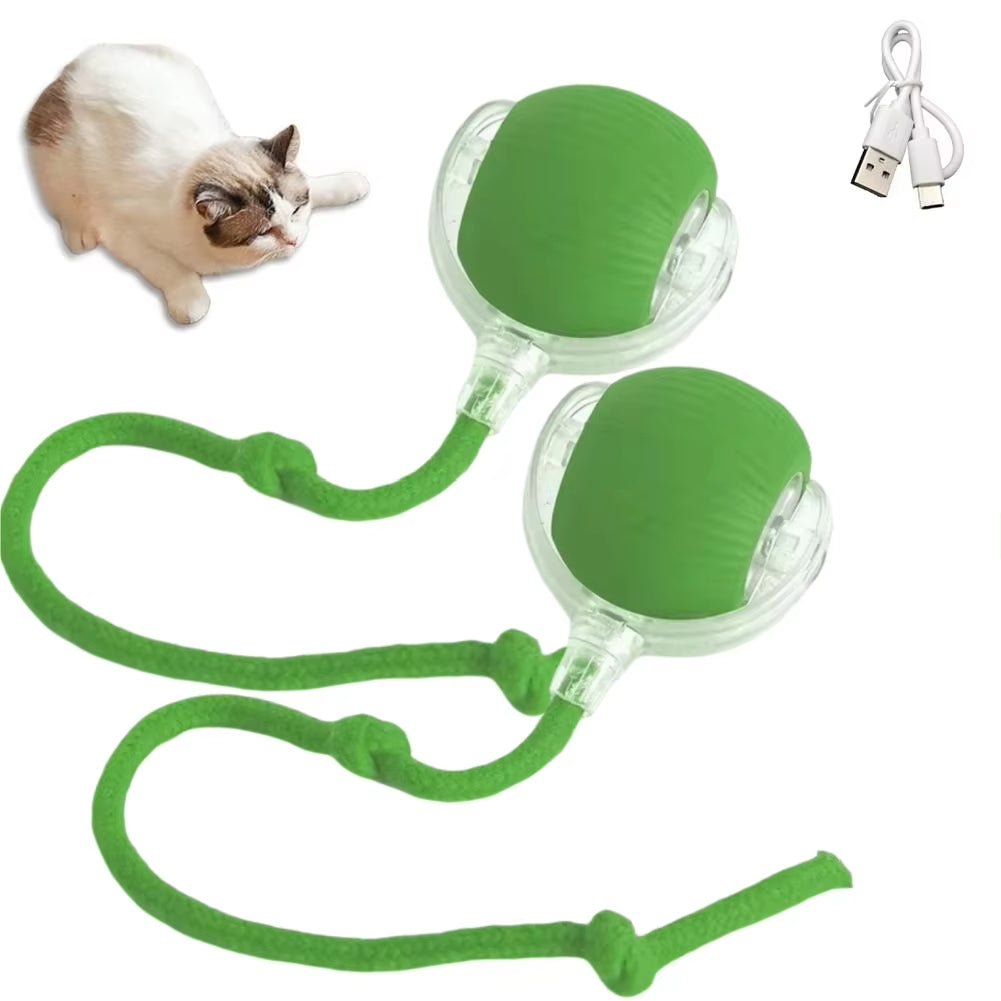Interactive Cat Ball Toy - Automatic Rolling with Synthetic Tail Mouse for Cats Dogs - ANMARKET