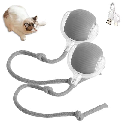 Interactive Cat Ball Toy - Automatic Rolling with Synthetic Tail Mouse for Cats Dogs - ANMARKET