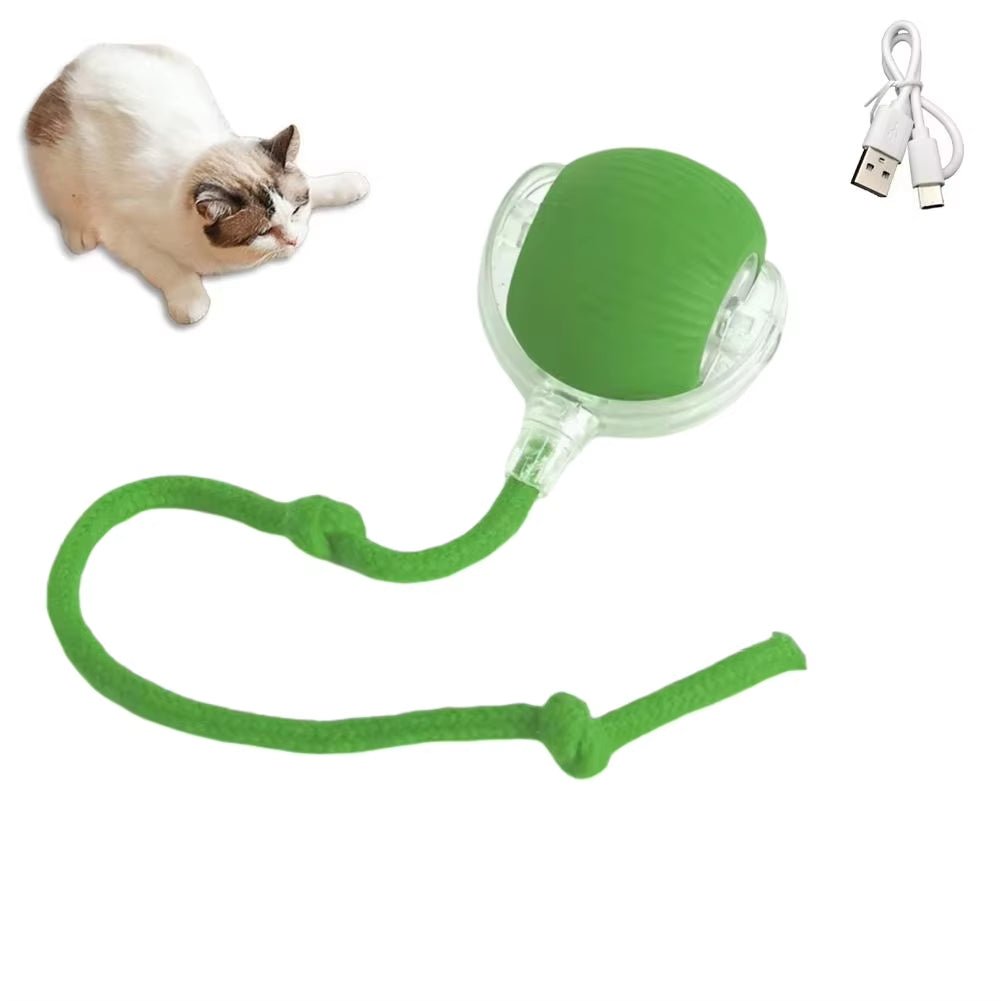Interactive Cat Ball Toy - Automatic Rolling with Synthetic Tail Mouse for Cats Dogs - ANMARKET