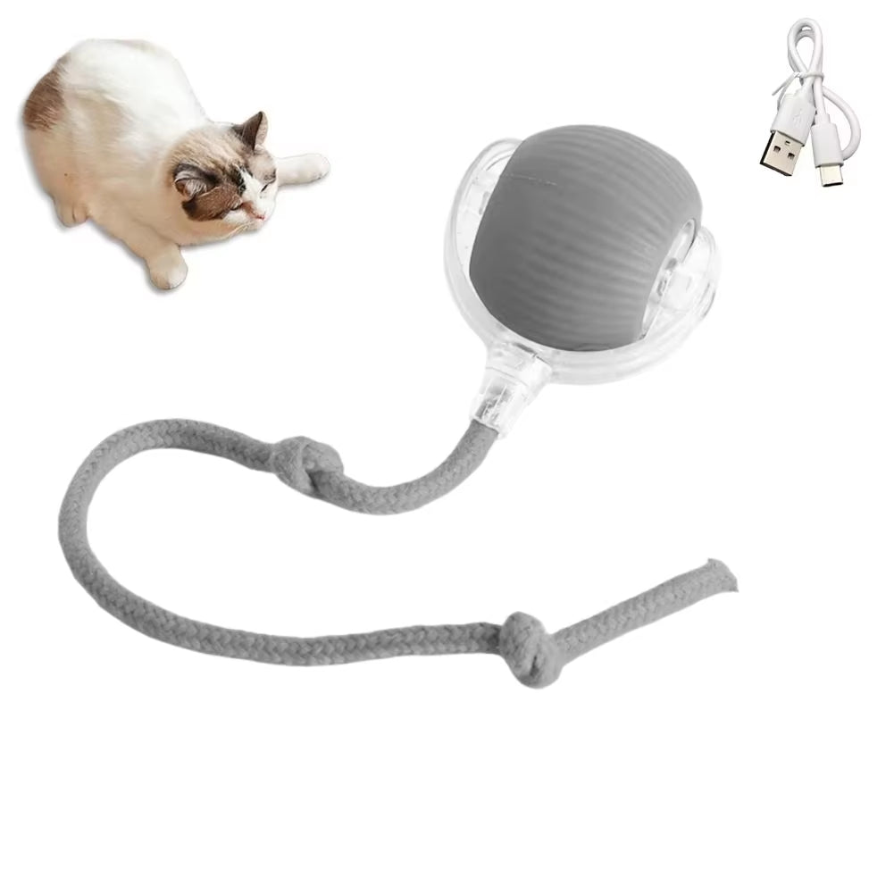 Interactive Cat Ball Toy - Automatic Rolling with Synthetic Tail Mouse for Cats Dogs - ANMARKET