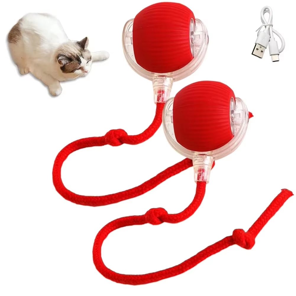 Interactive Cat Ball Toy - Automatic Rolling with Synthetic Tail Mouse for Cats Dogs - ANMARKET