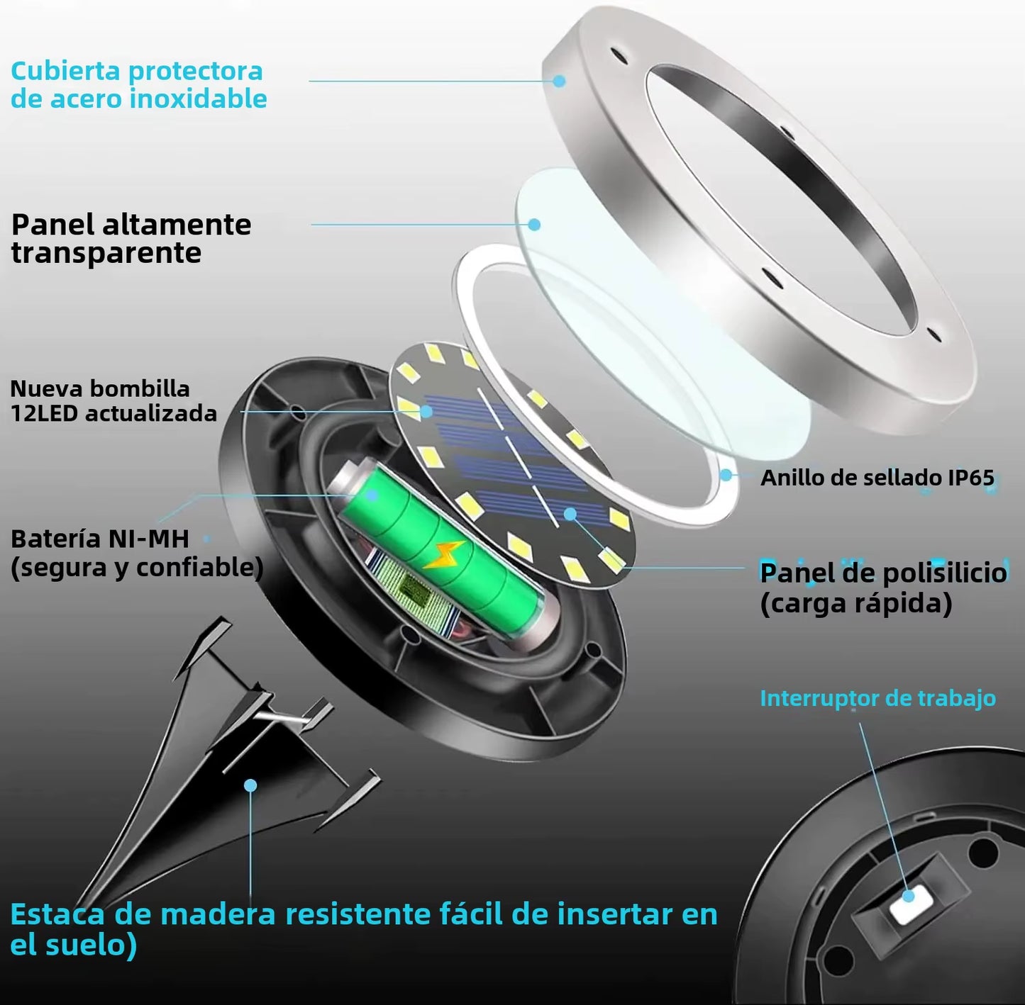 Luces Solares para Jardín - 12 LED Impermeables para Decoración Exterior, Ideal para Patios, Caminos y Céspedes - ANMARKET