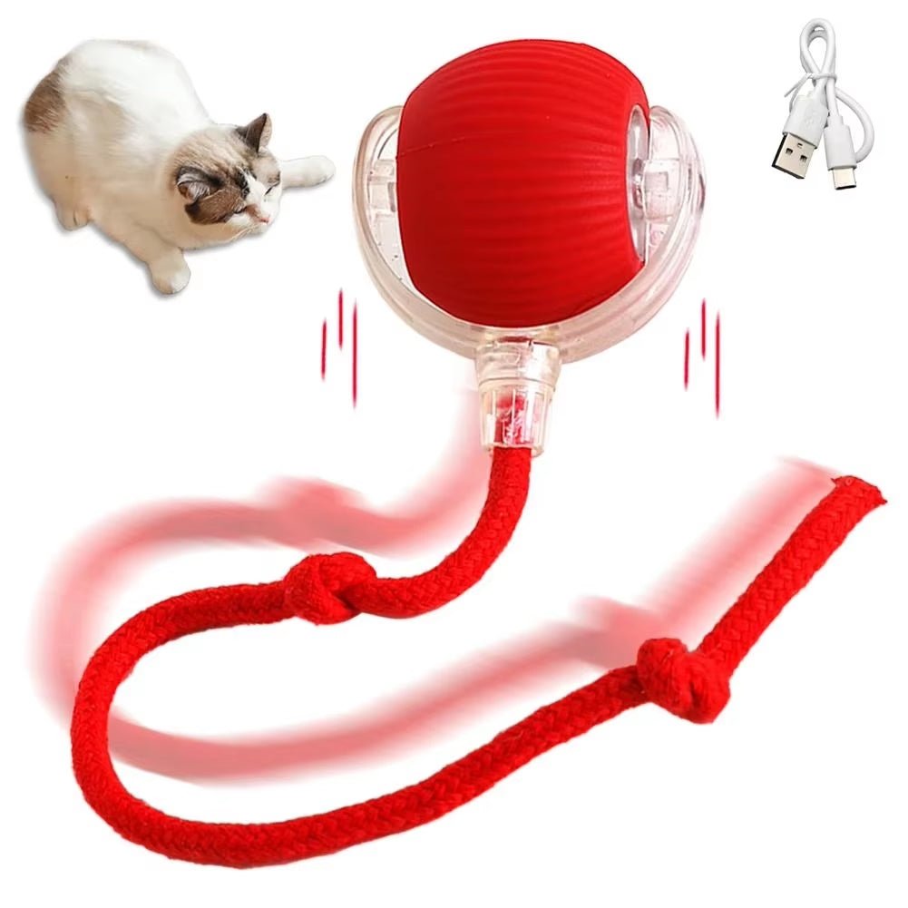 Interactive Cat Ball Toy - Automatic Rolling with Synthetic Tail Mouse for Cats Dogs - ANMARKET