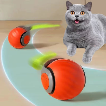 Interactive Cat Ball Toy - Automatic Rolling with Synthetic Tail Mouse for Cats Dogs - ANMARKET